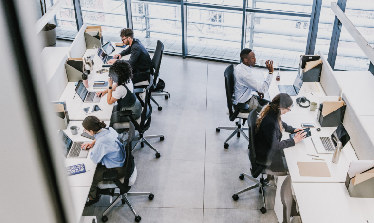 fibrelite Productivity2